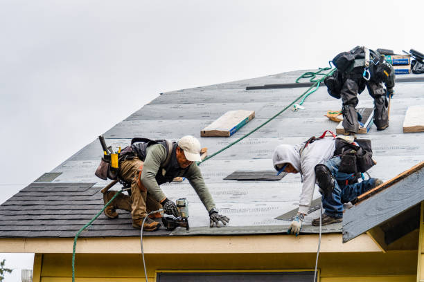 Professional Storm Damage Roof Repair technician working in Shingletown, CA